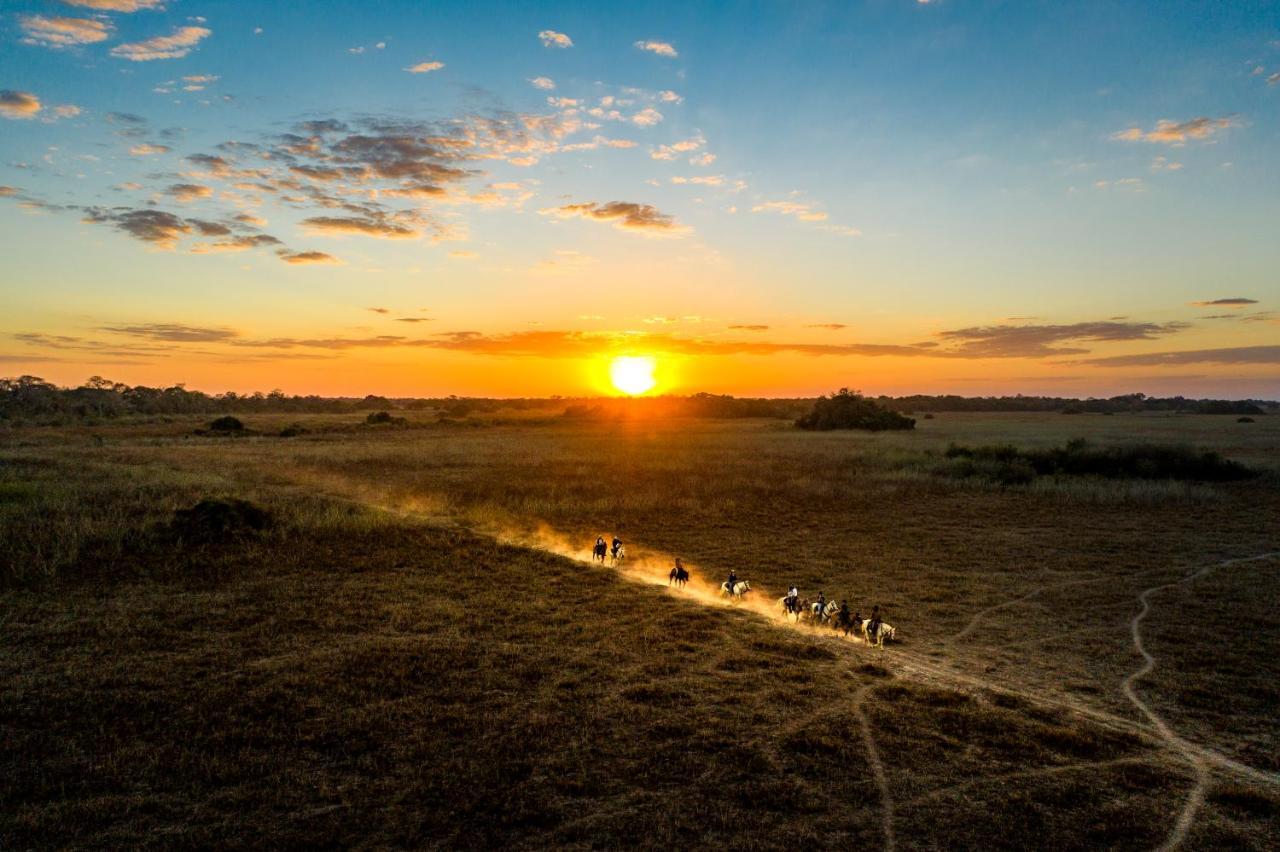 Pousada Araras Pantanal Eco Lodge Carvoalzinho Exteriér fotografie