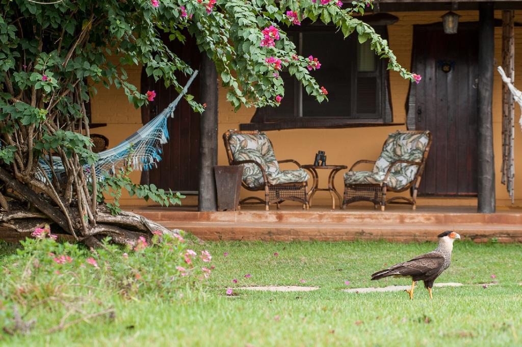 Pousada Araras Pantanal Eco Lodge Carvoalzinho Exteriér fotografie
