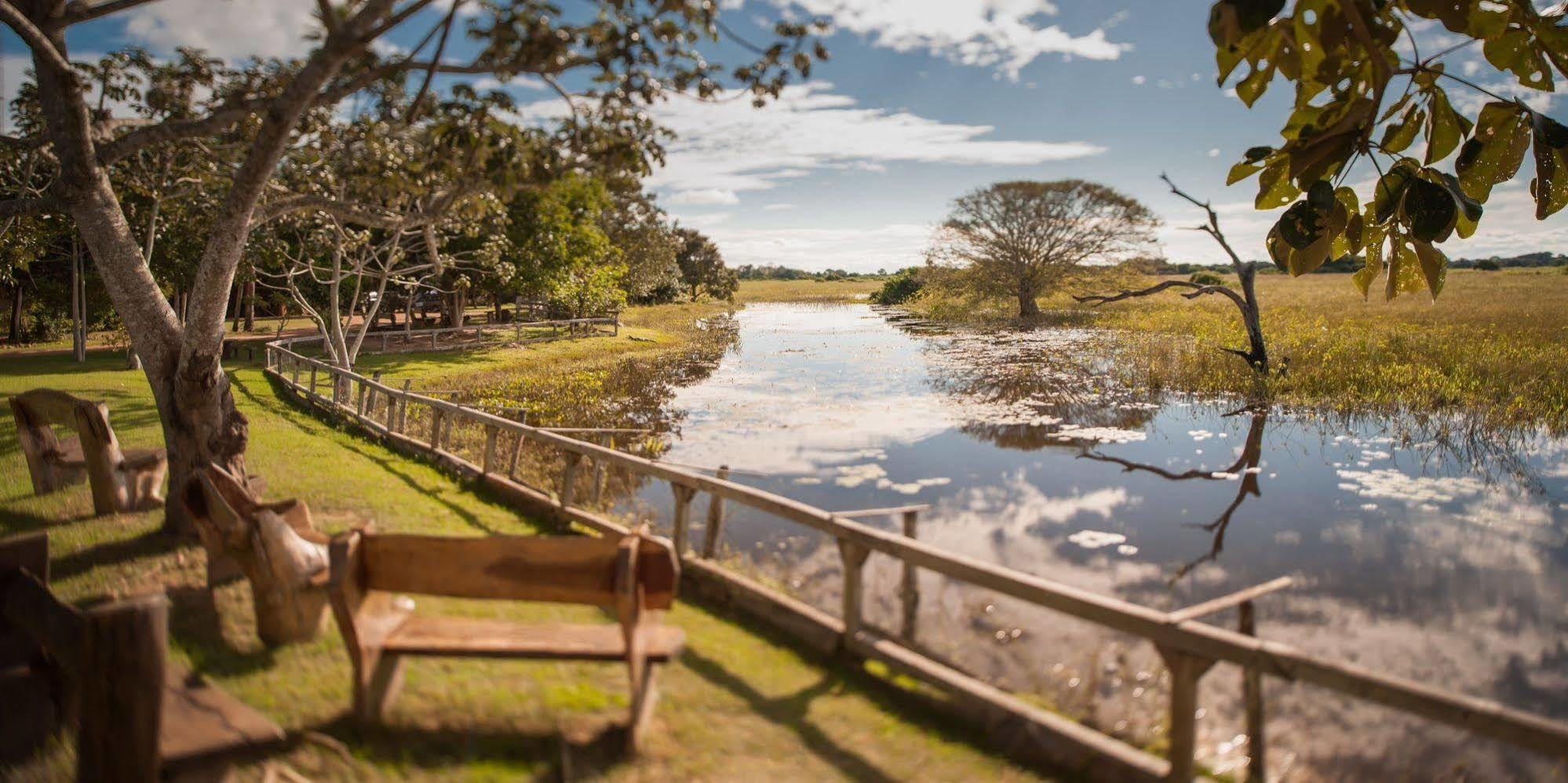 Pousada Araras Pantanal Eco Lodge Carvoalzinho Exteriér fotografie